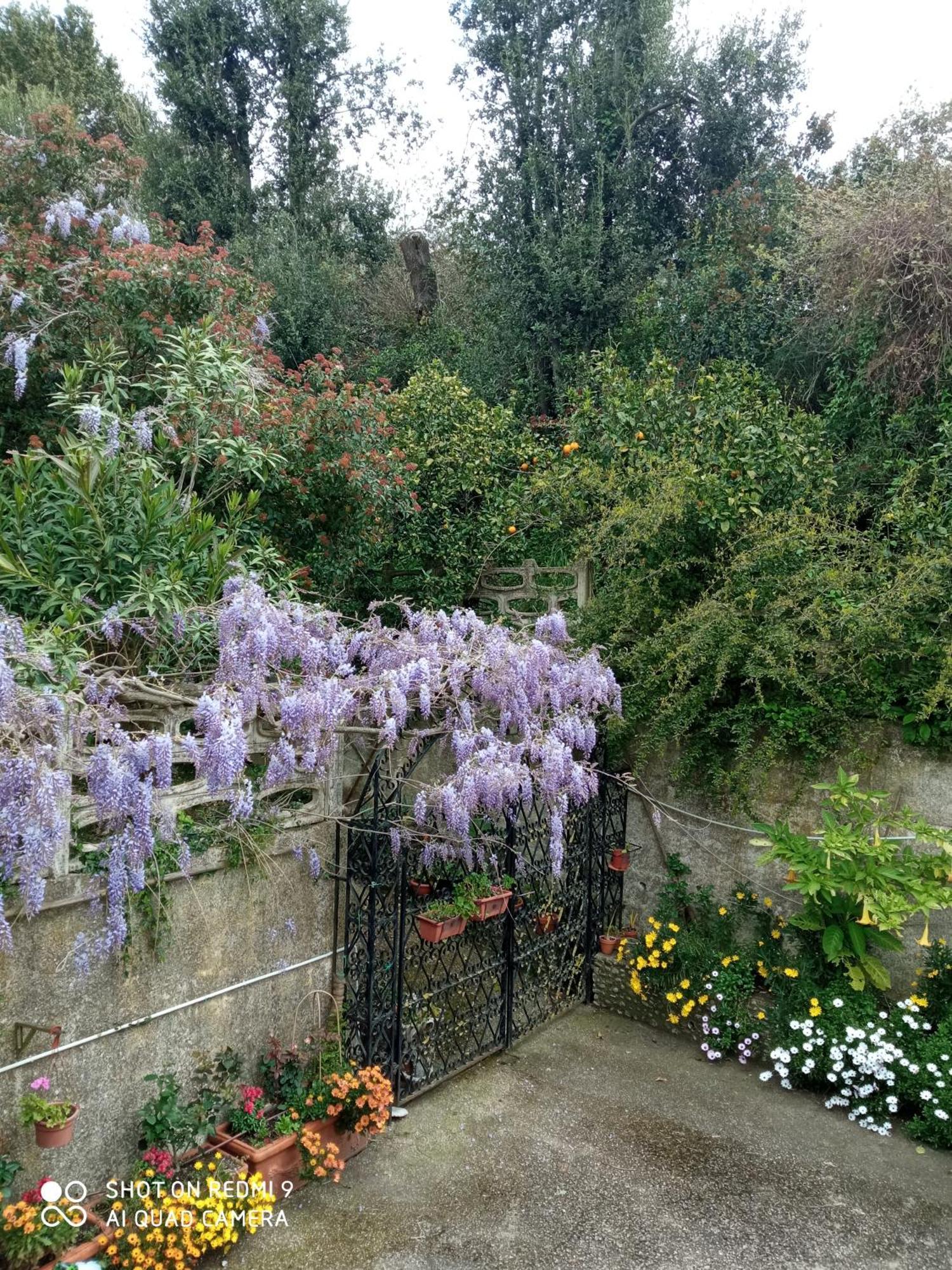 Belvedere Di Caiazzo 外观 照片