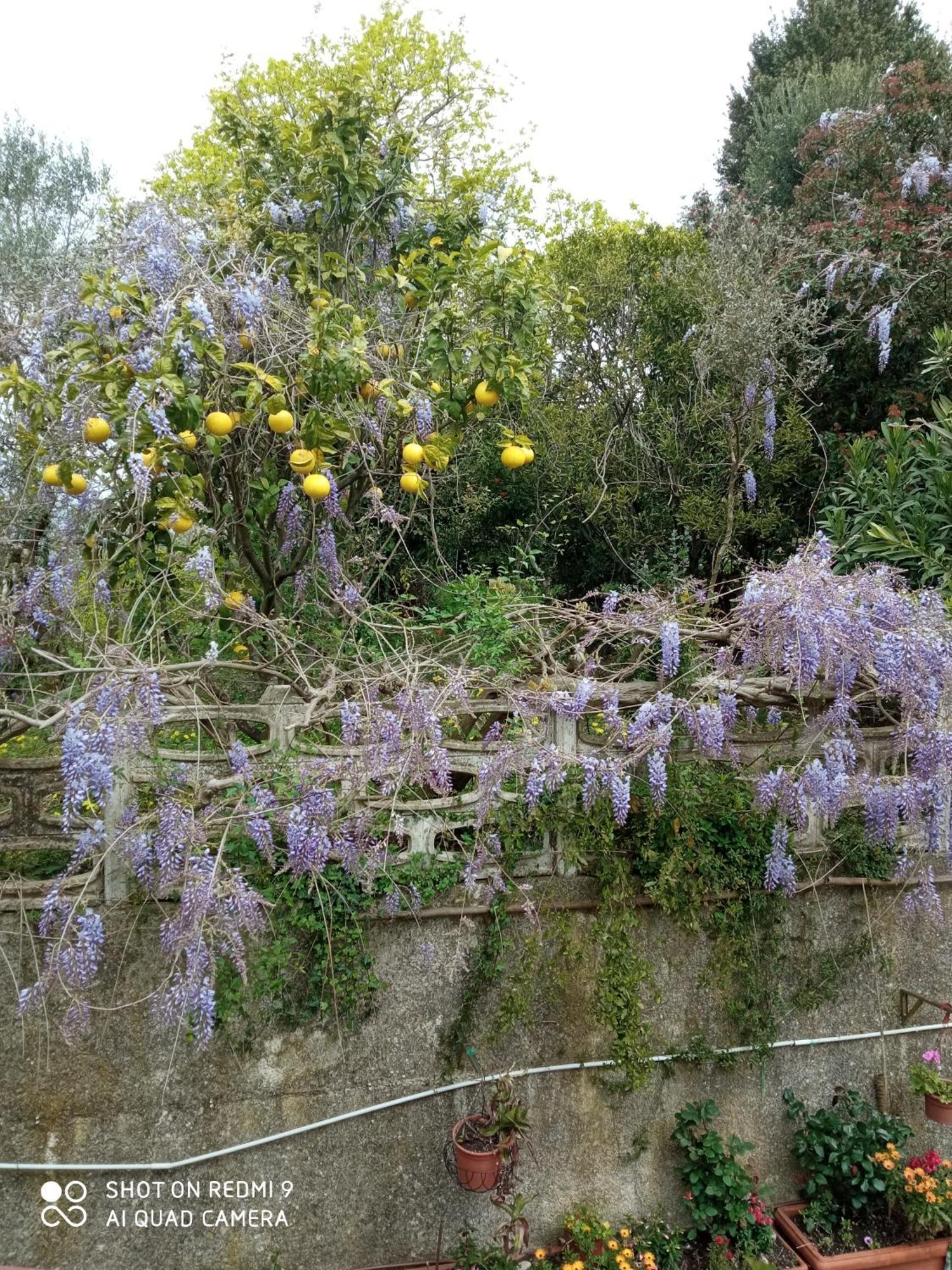 Belvedere Di Caiazzo 外观 照片
